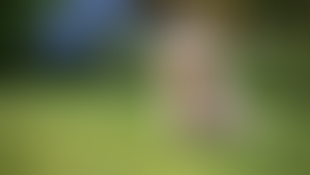 Why Harvest Creek Dog Traits Make Their Cavapoos Stand Out