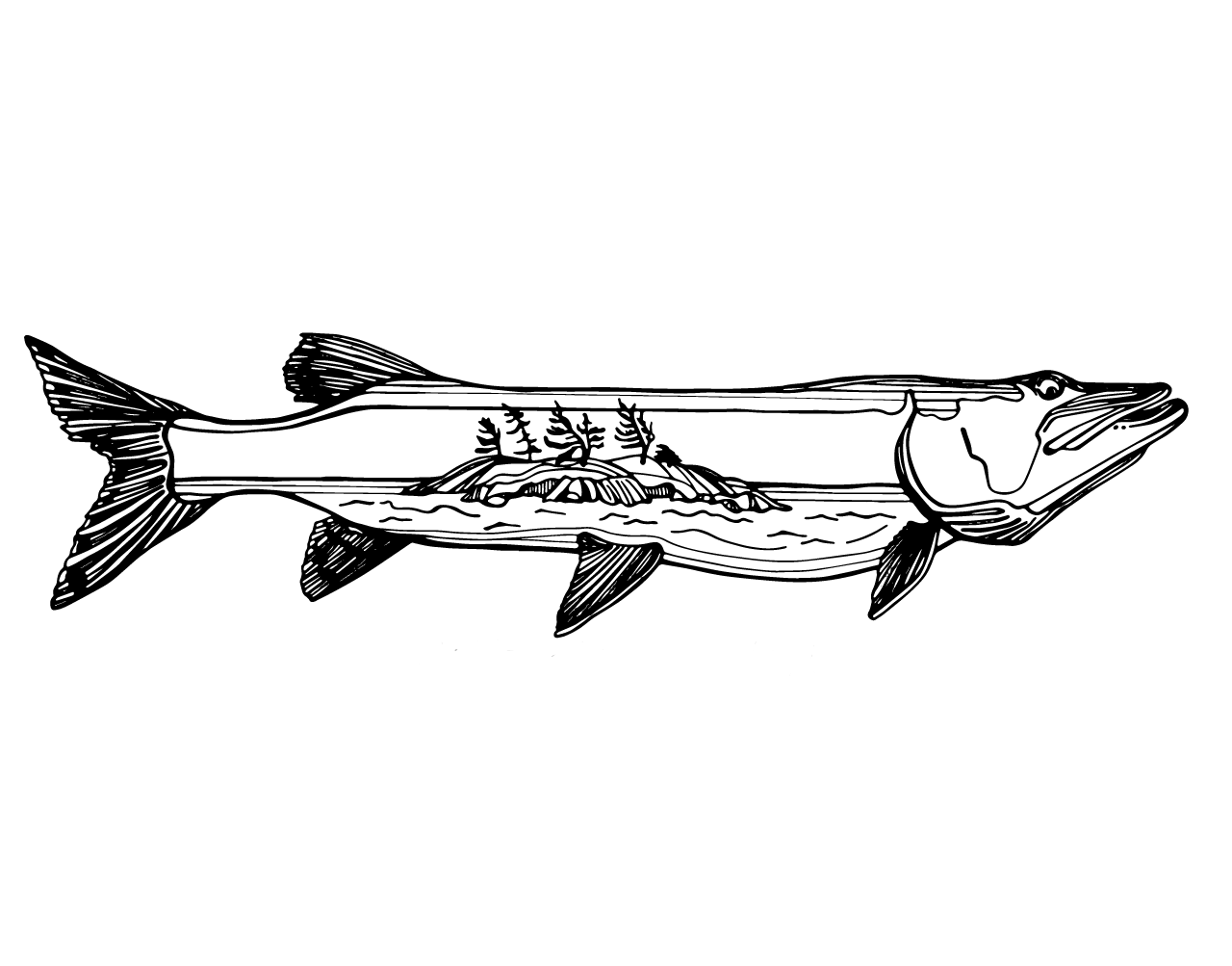 Forfaits de pêche au maskinongé — Stillwater Fishing Charters and Tours – Stillwater Fishing Charters and Tours
