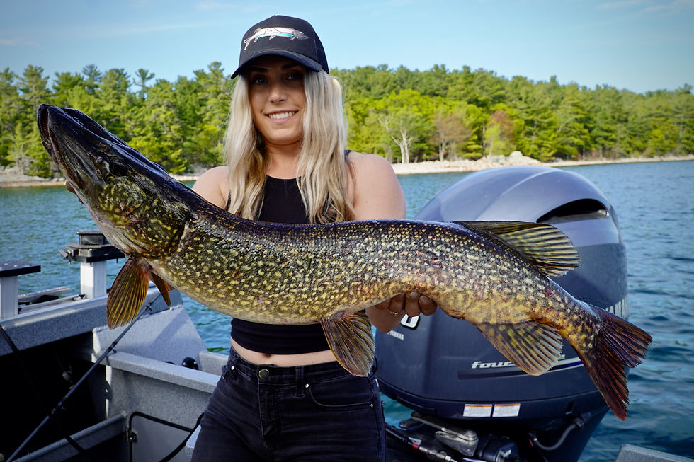 Thumbnail: Dark Night Snap Back