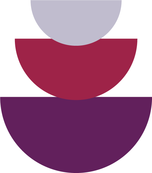 Lualys web assets-04.png