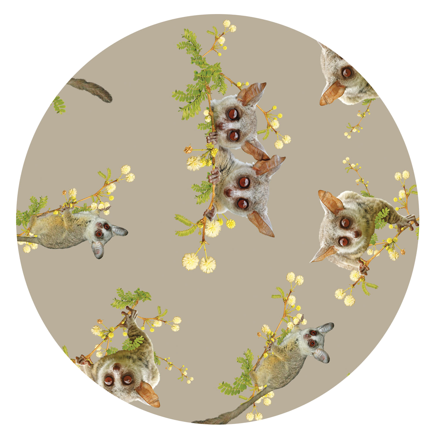 BushBaby Blanket - Stone