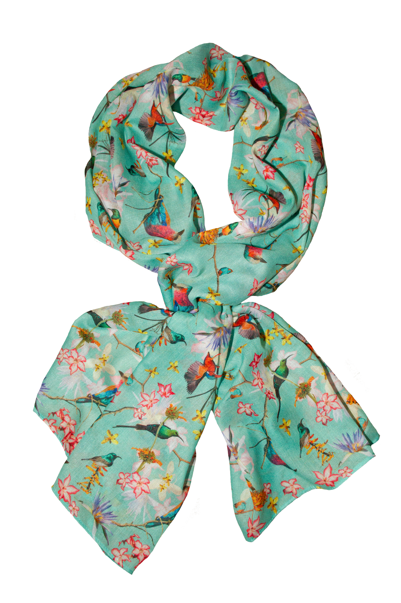 Africa's colourful birdlife (blue)