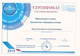 Рисунок (12).jpg