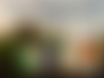 Agricultural Surfactants Industry Share, Size, and Market Dynamics 2032