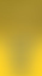 PRESENTAZIONE STAFF MINIBASKET