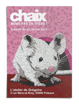 Souris.jpeg