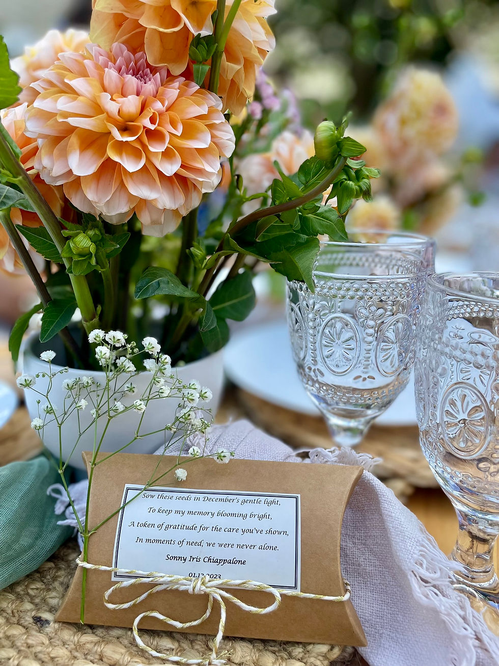backyard boho picnic perth