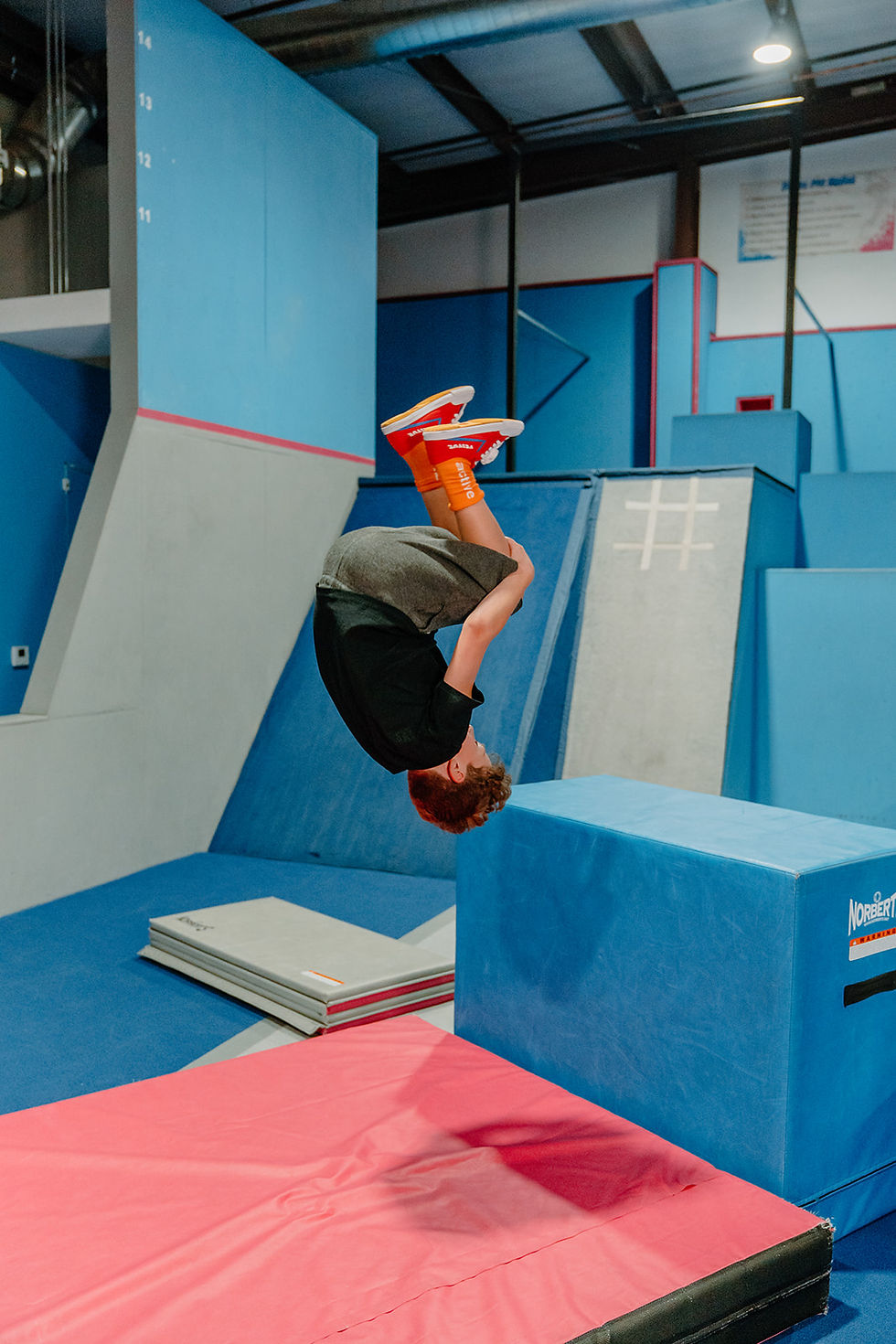 Parkour gym in albany