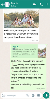 whatsapp_chat (1).png