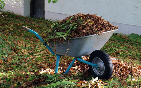 Gartenpflege Garten Lagler.jpg