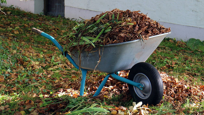 Yard Waste Pick-Up Information