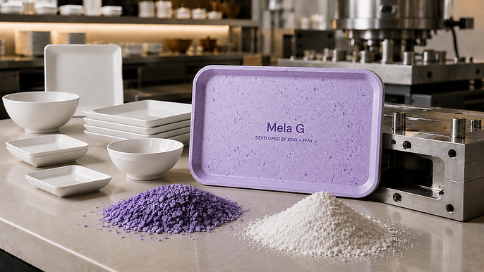 +Mela G Cover_S.png
