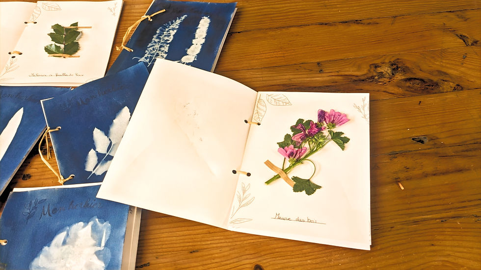 Thumbnail: - Herbier numérique -