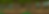 mushround copy.png