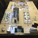 IMG-20190123-WA0004.jpg
