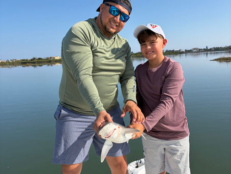 A Father–Son Shark Fishing Adventure with Niteline Charters