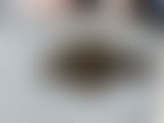 November and Cooler Water Temperatures = Flounder