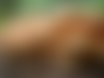 Enhancing Skills with the Zushroom Farming Training Course