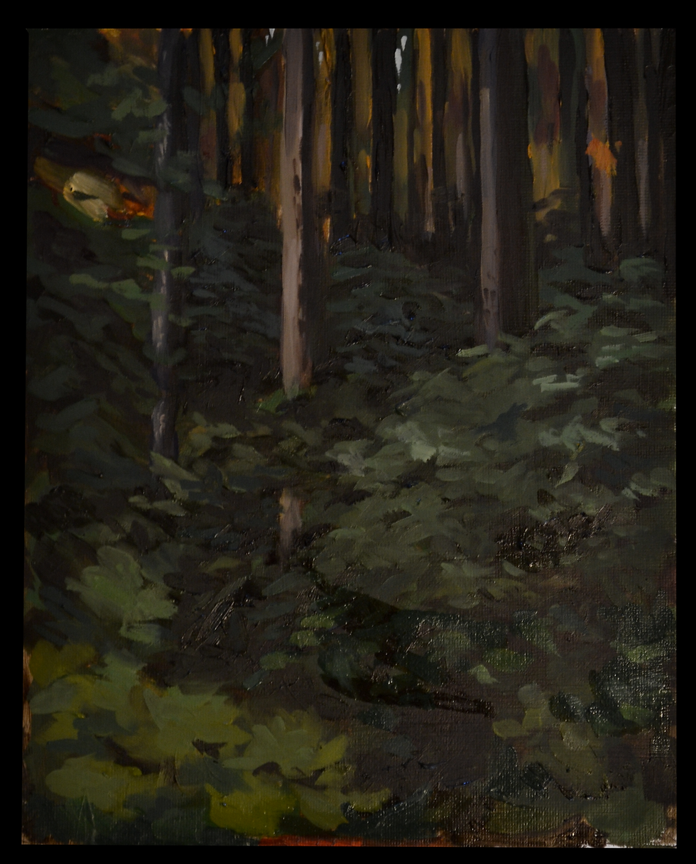 Forever Dark Woods