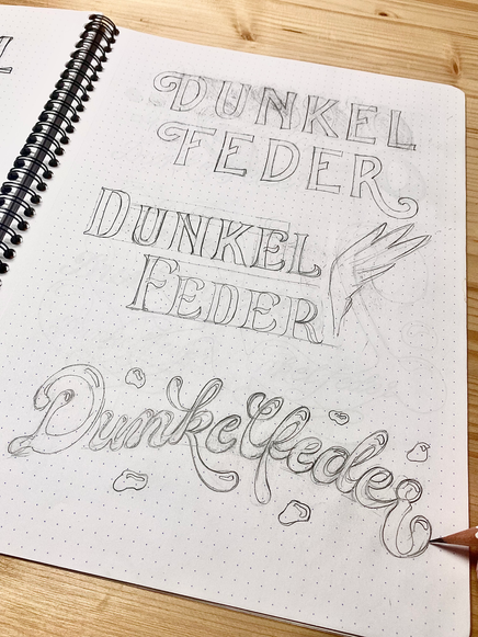 DunkelFeder Logo Drafts.heic