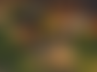 THE ORIGINS OF A WORD WITCH