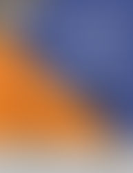 The Next Step - VT Seva Youth Career Navigation Program