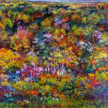 Sonoran Spring 