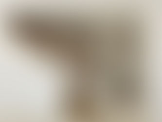 שמה דגש - קווים מנחים בתכנון ועיצוב פנים