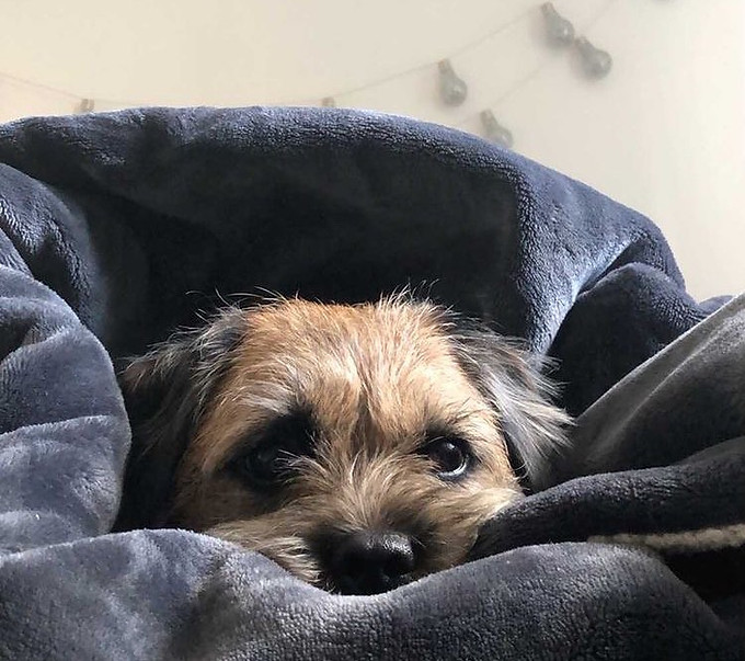 @marbles_bt