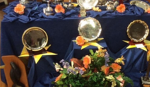 Trophies_edited.jpg