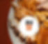 carnitas_edited.jpg