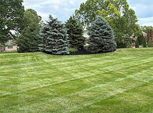 Loveland Landcaping install