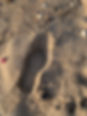FF32E36A-4B36-4CC0-AA4E-2050190516DB.jpeg