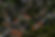 AdobeStock_96910310_edited.jpg