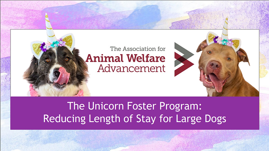 Screenshot 2025-12-11 174310.png