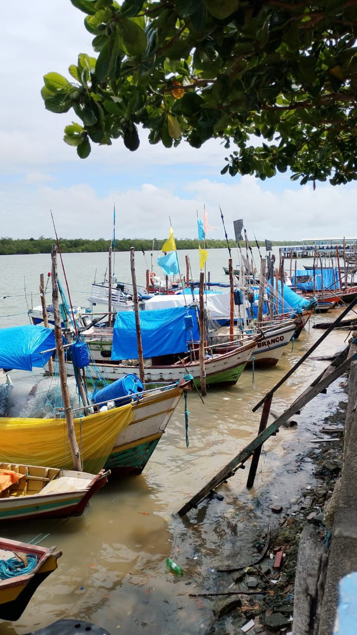 4ª edição do Boletim Informativo do Projeto Marés do Norte está disponível!