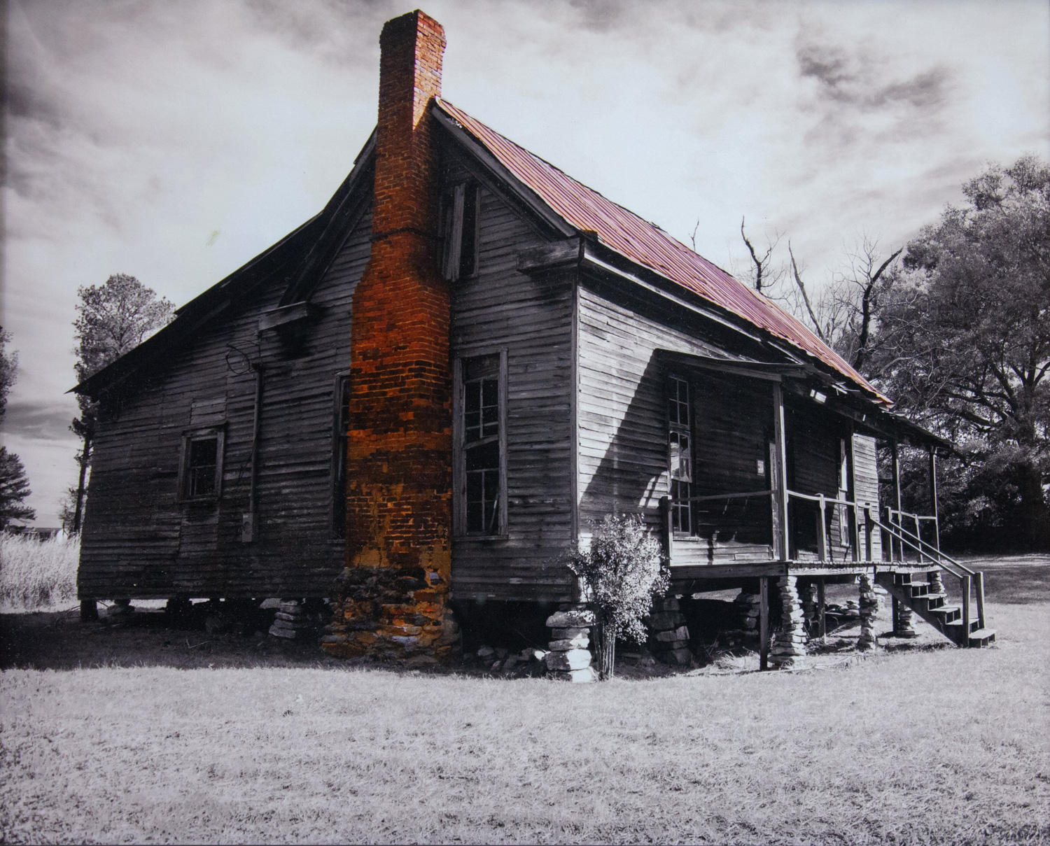 Giclee Print by Wanda Green, Foundation Purchase