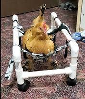 The generic wheelchair I make