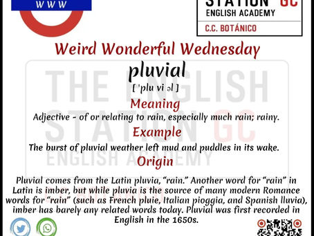 Weird Wonderful Wednesday 