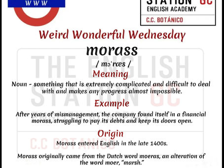 Weird Wonderful Wednesday
