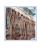 Meat Industry.png