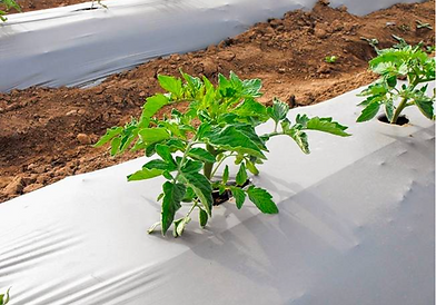 Screenshot 2025-04-15 at 12.09.32 PM.png