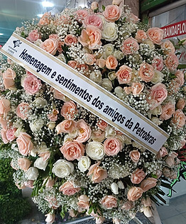 WhatsApp Image 2024-07-17 at 11.00.52.jpeg