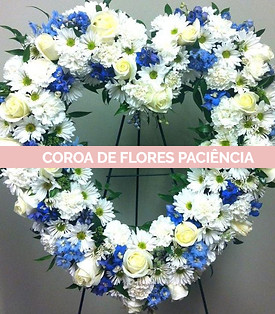 WhatsApp Image 2025-01-15 at 13.46_edite