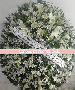 WhatsApp Image 2025-02-27 at 10_edited.j