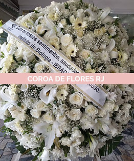 WhatsApp Image 2025-01-30 at 14.17_edited.jpg