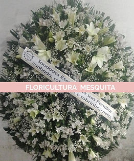 WhatsApp Image 2025-02-27 at 10_edited.j