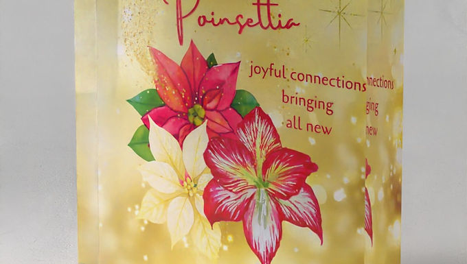 Poinsettia Prism Block
