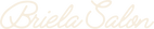 Briela Salon_2x.png