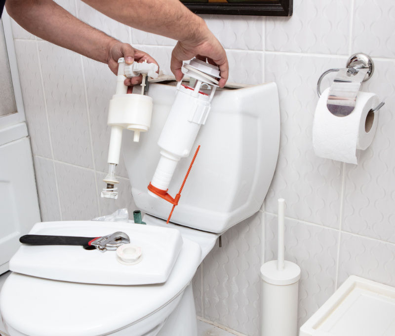 Plumber check toilet cistern.